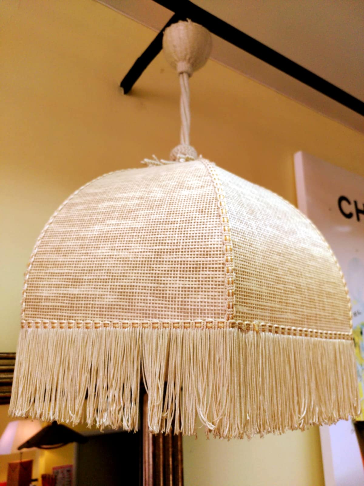 Bohemian hanging lamp cannage and vintage fringes