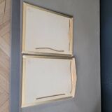 Pair of old silver photographs of insects S Celebonovic