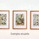 Antique engraving 1928, Algae, marine plant, flora • Lithograph, original illustration