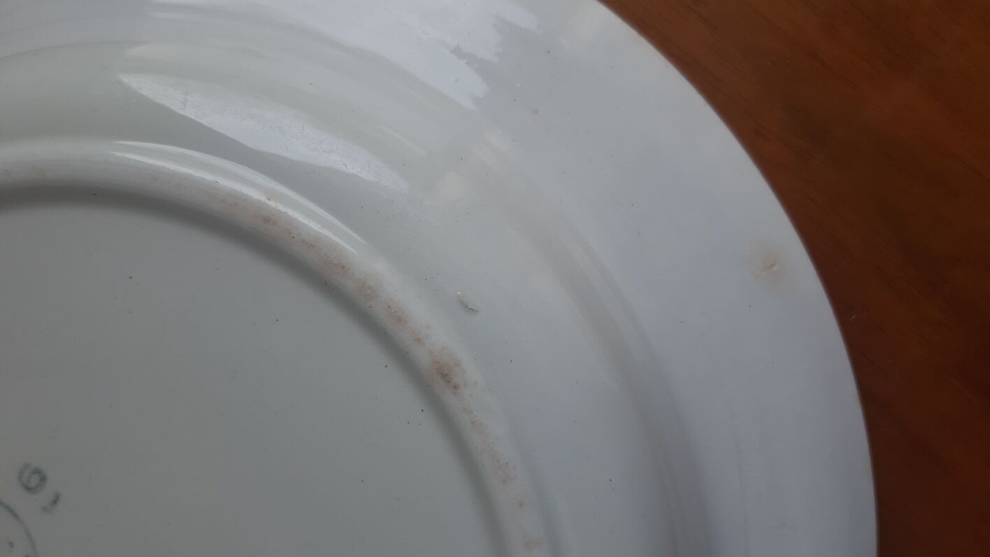 hollow dish Saint Amand Amandinoise