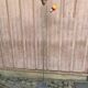 Globo floor reading lamp – Orange/yellow glass lampshades from the 1920s