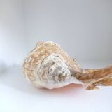 Vintage shell