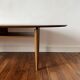 Oval Scandinavian coffee table