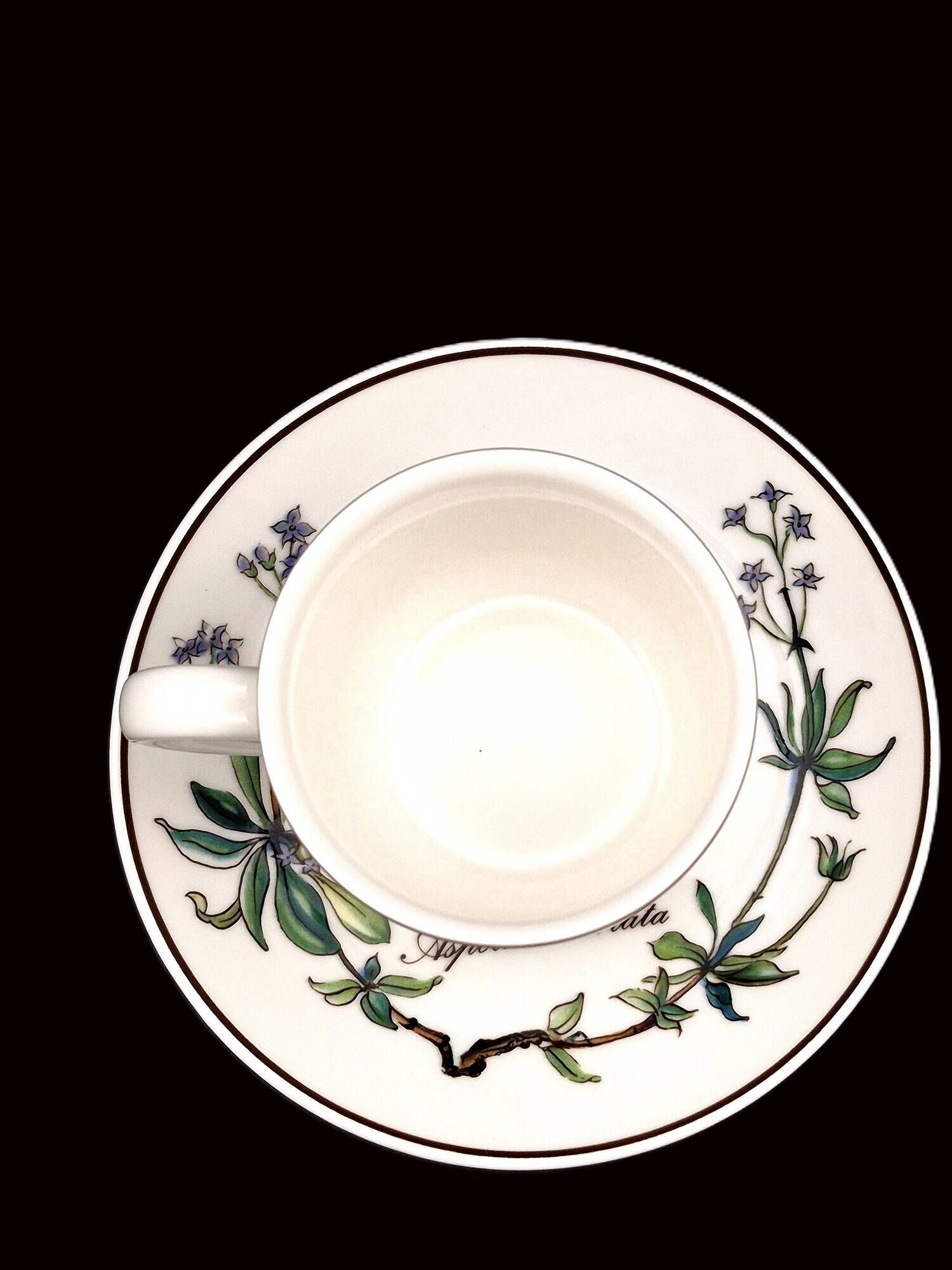 Set of 6 coffee cups and saucers Villeroy & Boch, vintage, Botanica