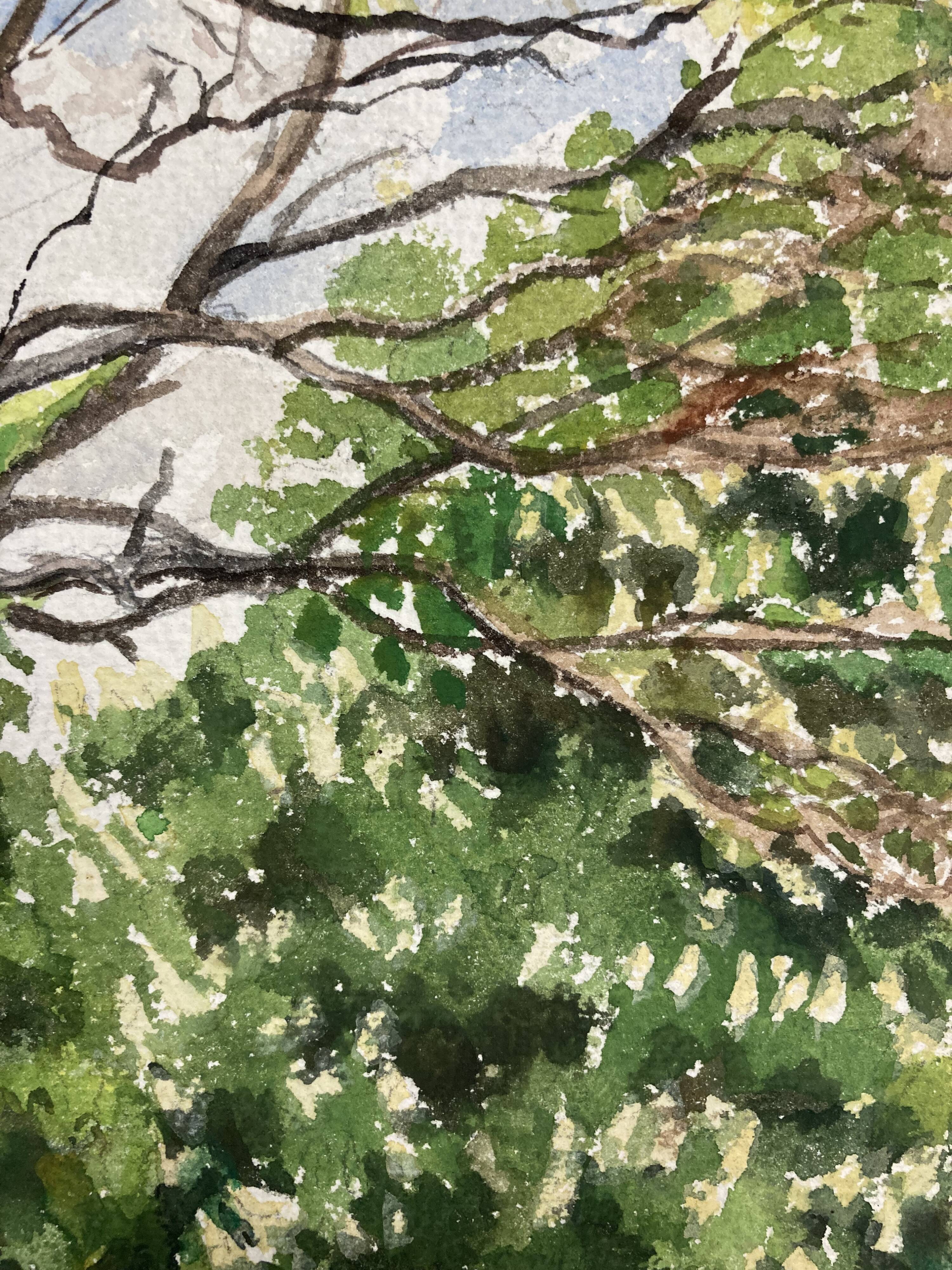 Aquarelle Maison aux Iris