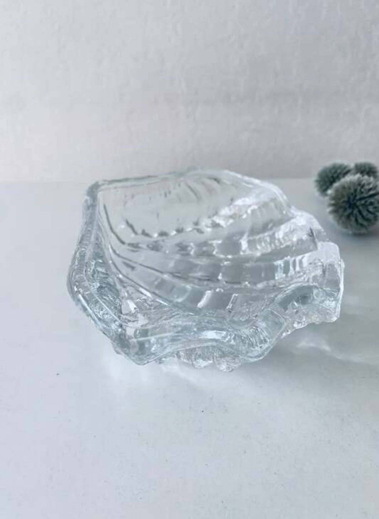 Coquillage bénitier en verre