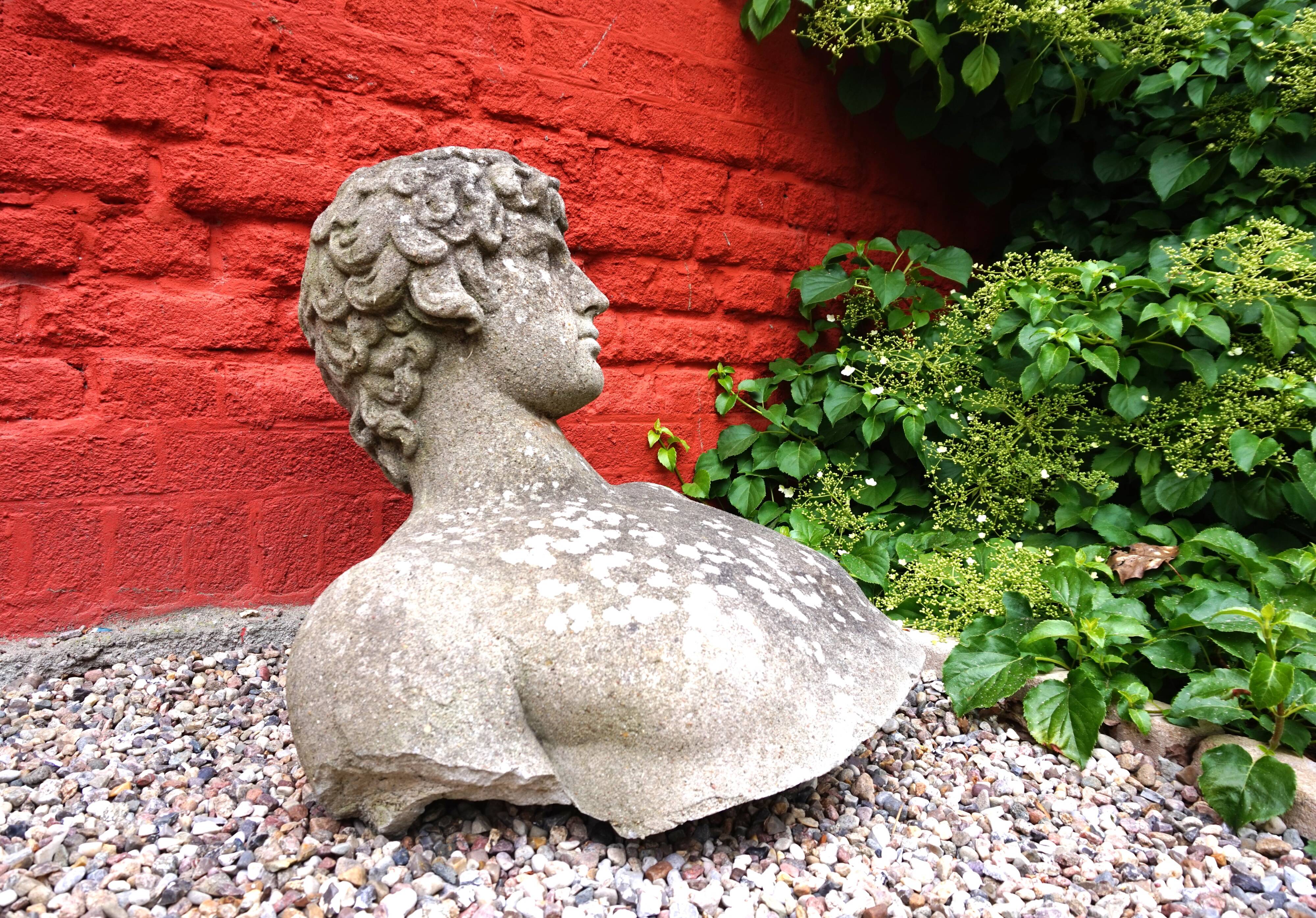 Weathered garden sculpture David concrete bust