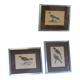 Bitterness birds