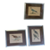 Bitterness birds