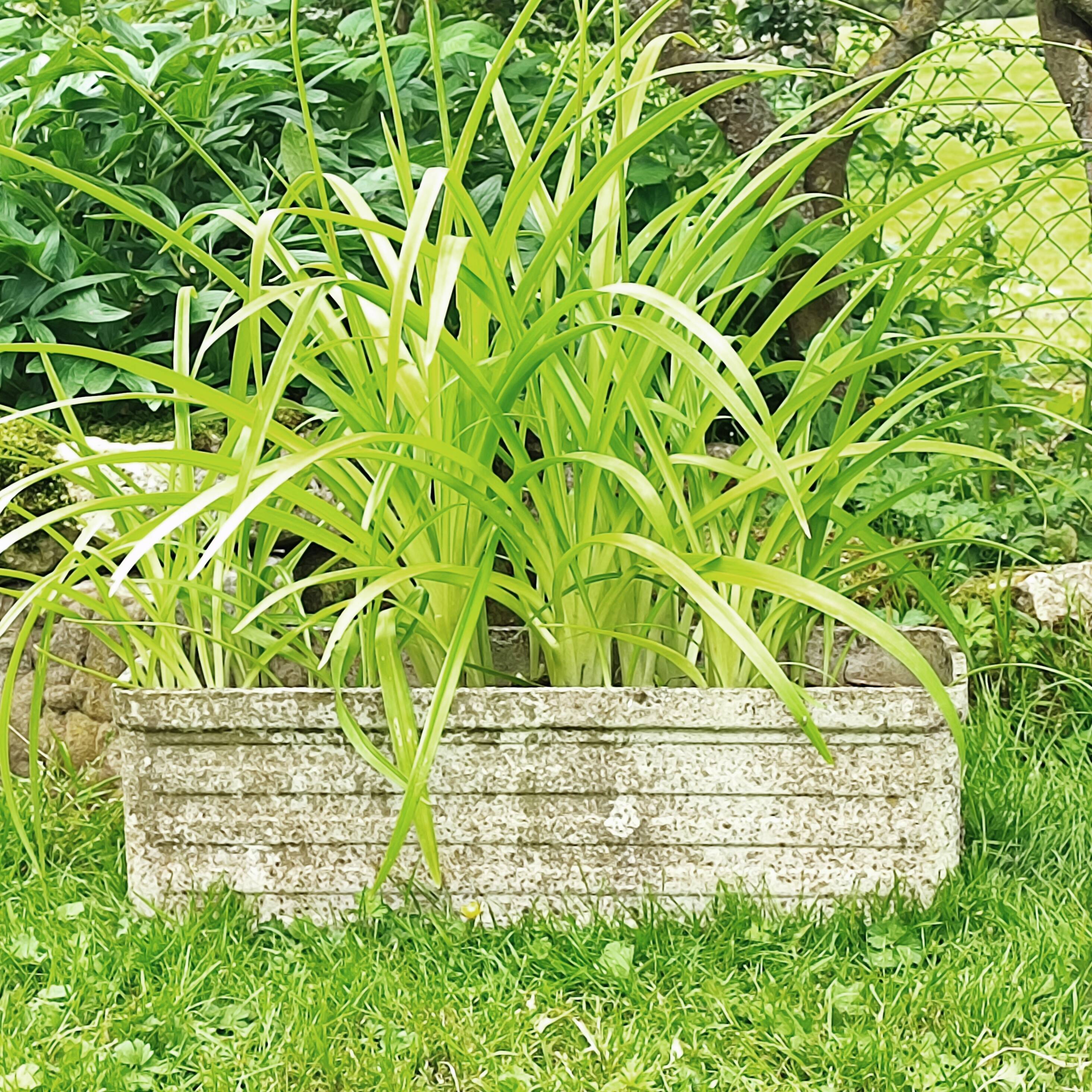 Vintage rectangular planter