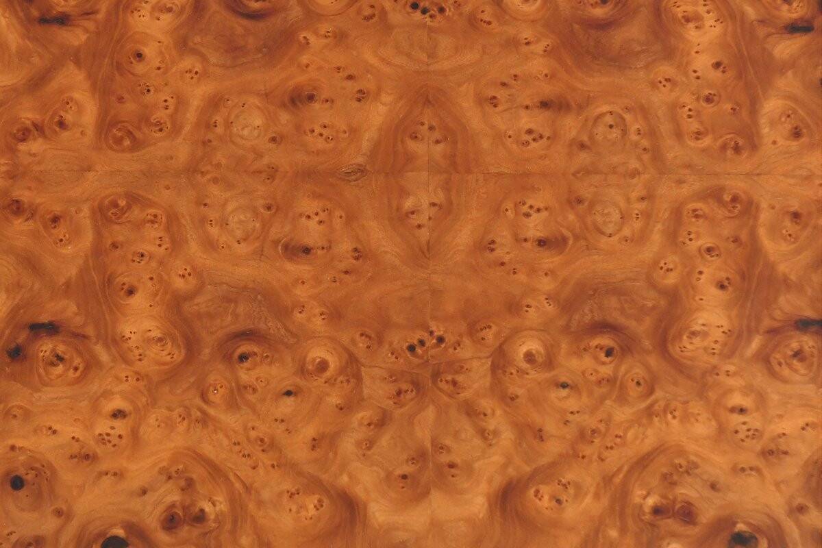 Vintage coffee table in elm burl