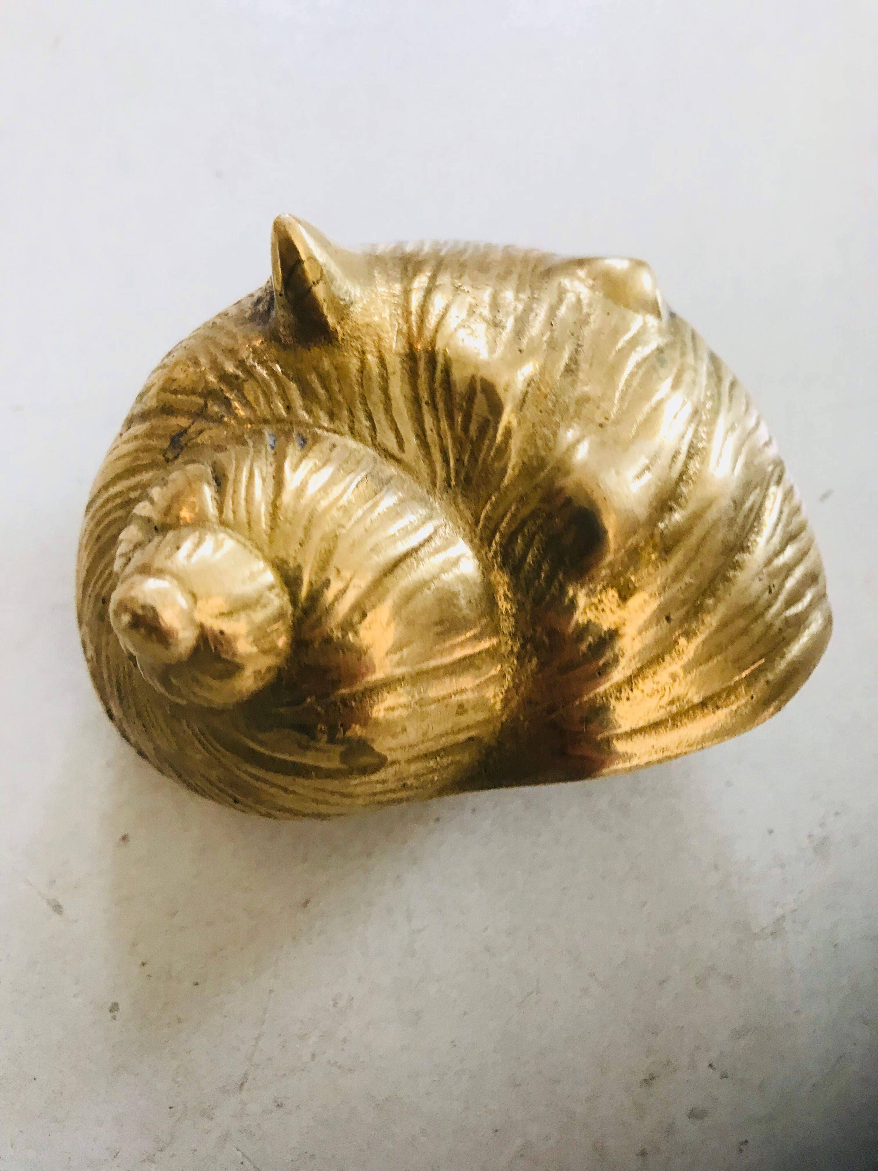 Bronze shell