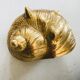 Bronze shell