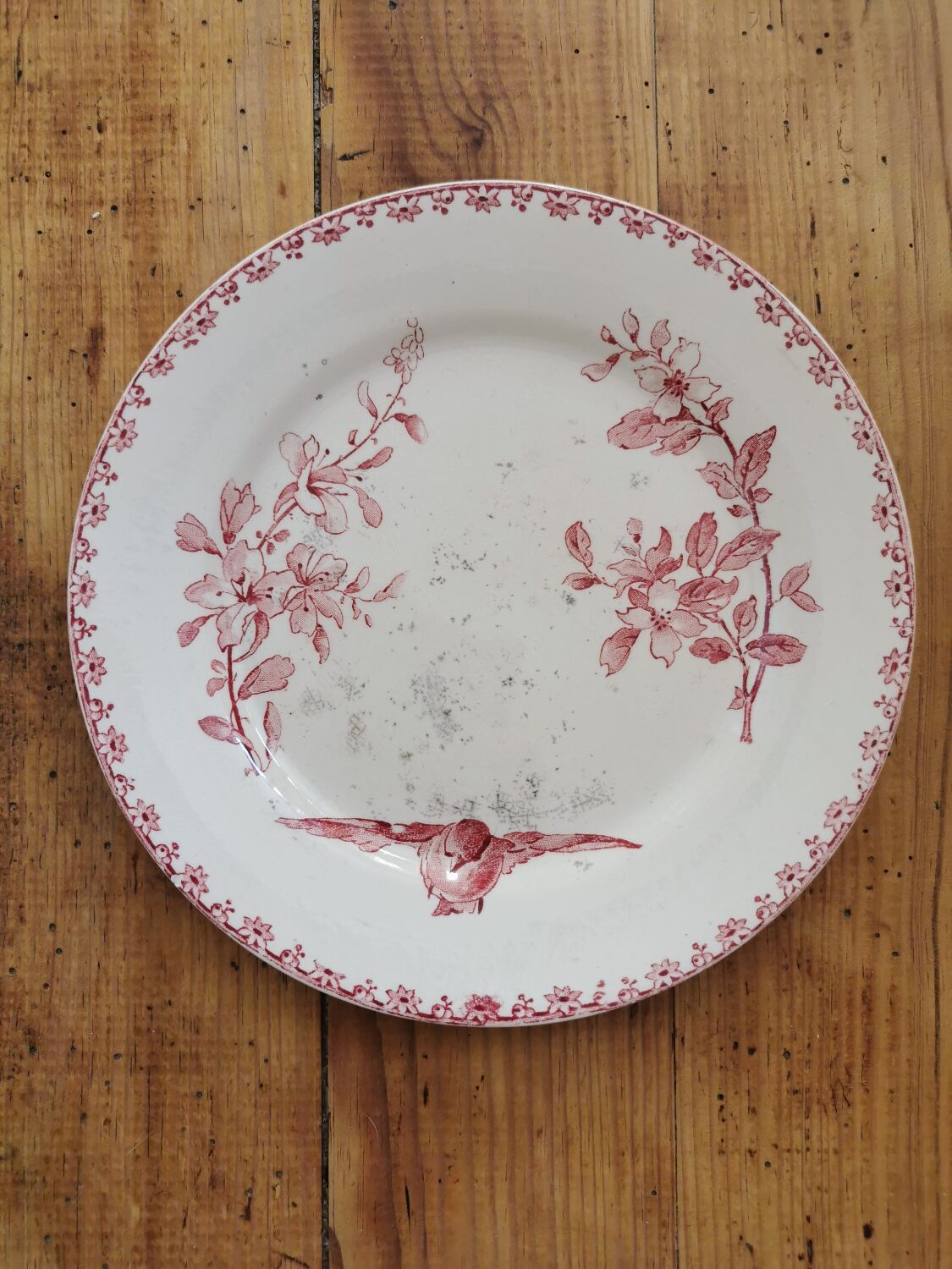 Assiettes anciennes Sarreguemines "Favori"