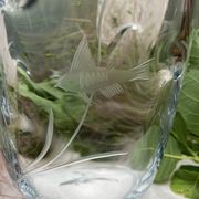 Pinched crystal vase engraved with vintage marine motifs