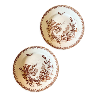 Assiettes terre de fer