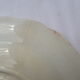 Assiette ancienne en faïence de Gien diam 24,5 cm