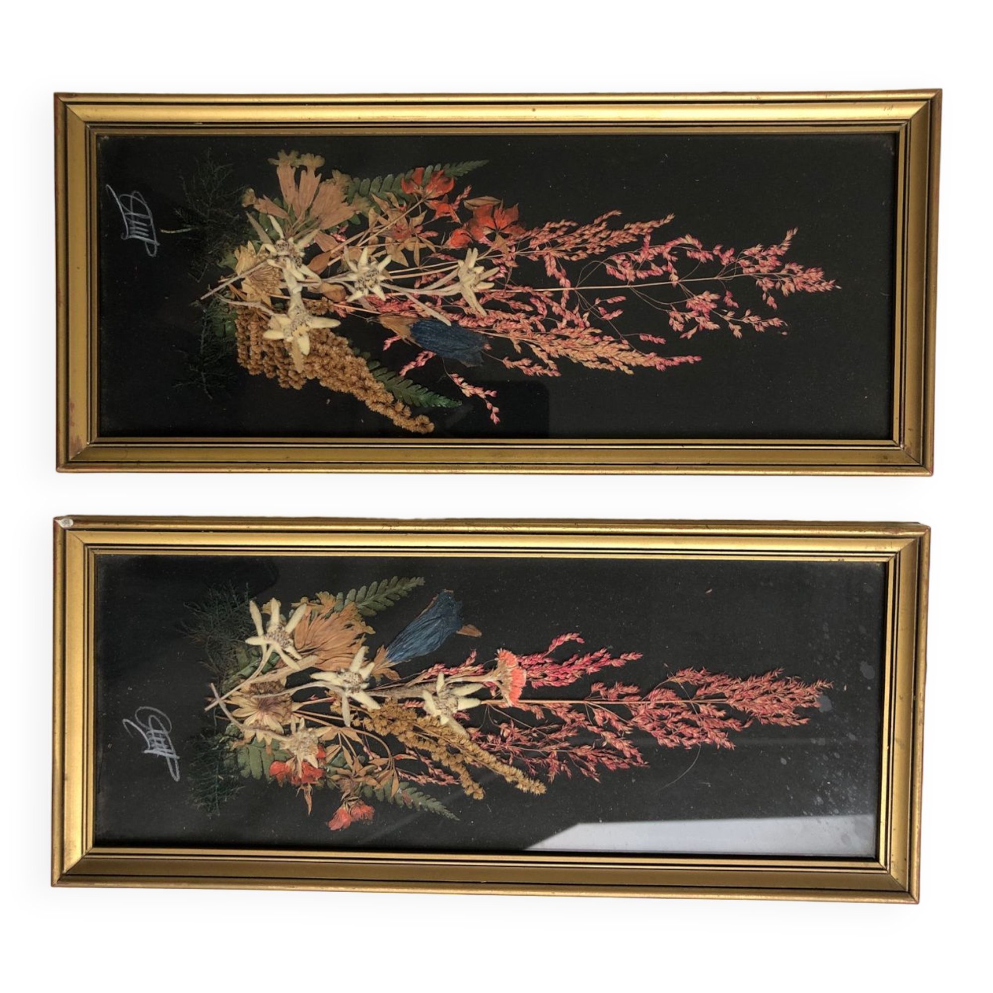 Natural flower frame