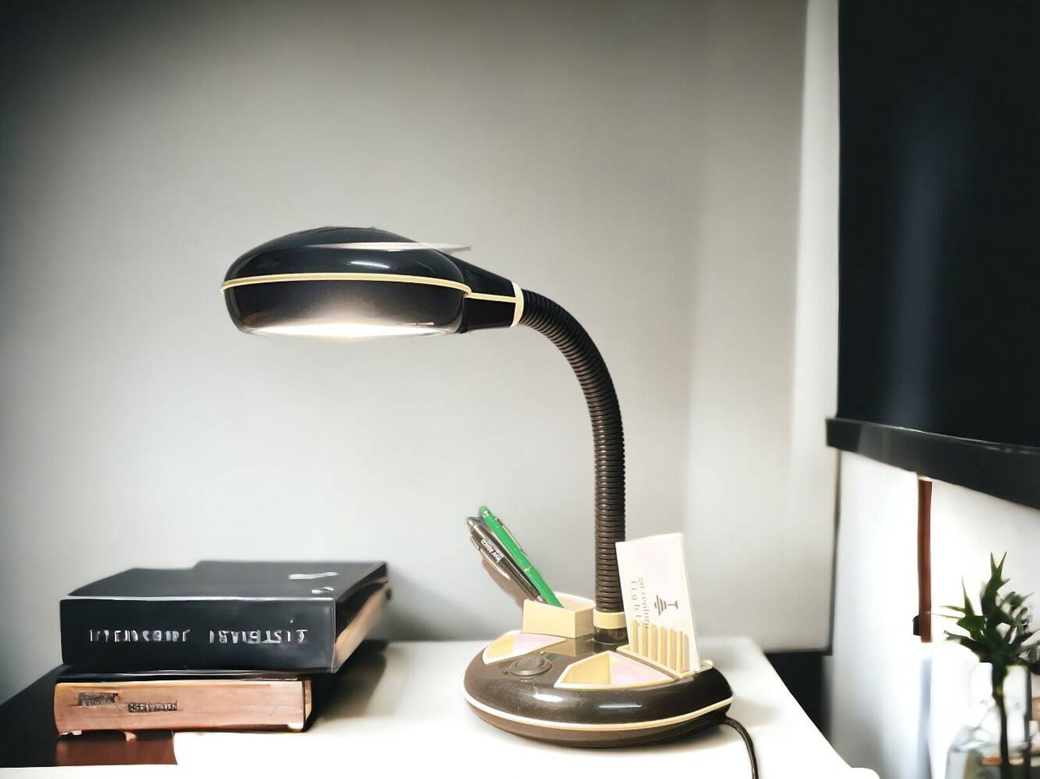Japanese Designer goose neck desk lamp by Kyoji Tanaka