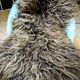 Natural sheep fur rug Dyreskinn