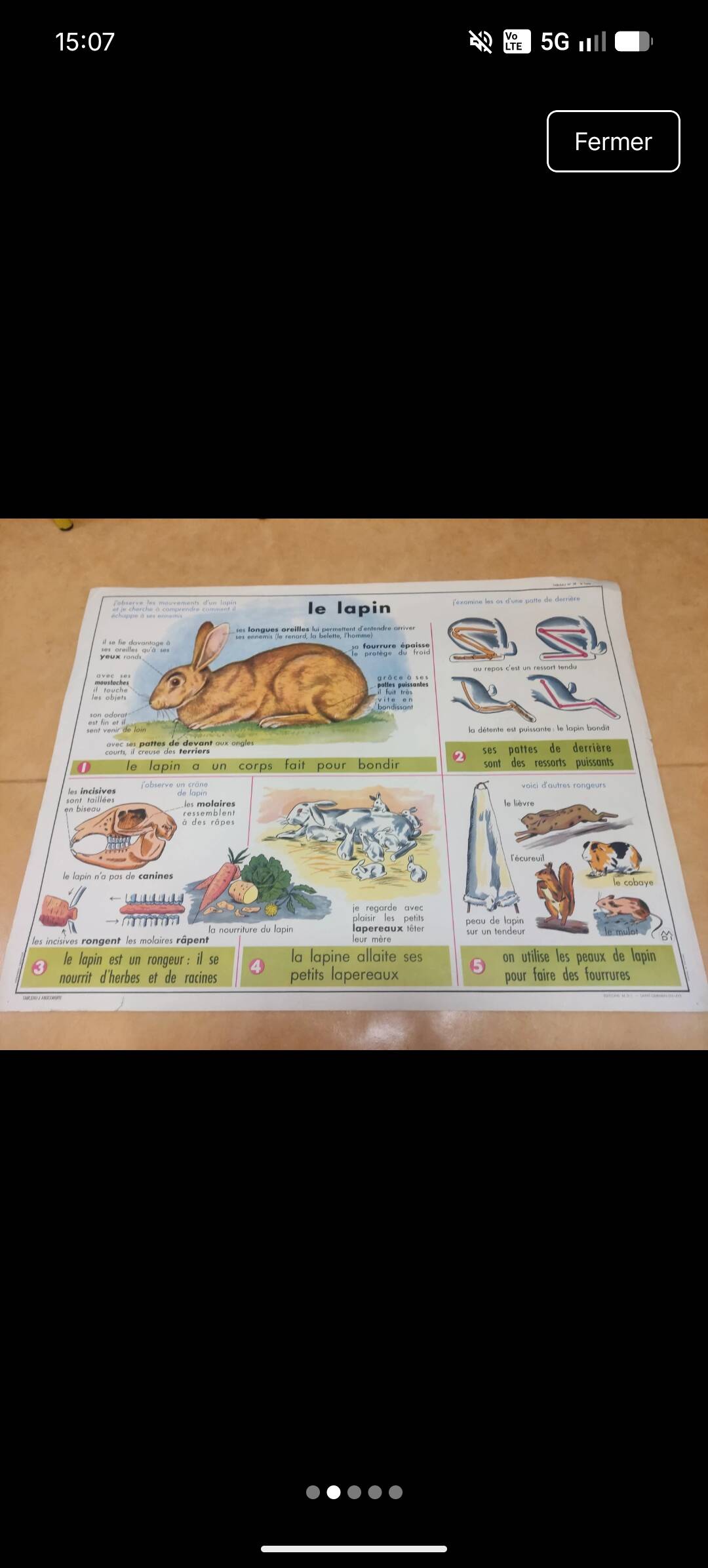 School poster Anscombre the clay/the rabbit