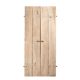 Dil - Antique Indian solid wood door