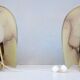 Mid Century Wall Sconces Shades Alabaster Glass Shades