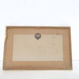 Zoological board engraving Buffon white bear and seal gilded wood frame