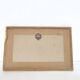 Zoological board engraving Buffon white bear and seal gilded wood frame