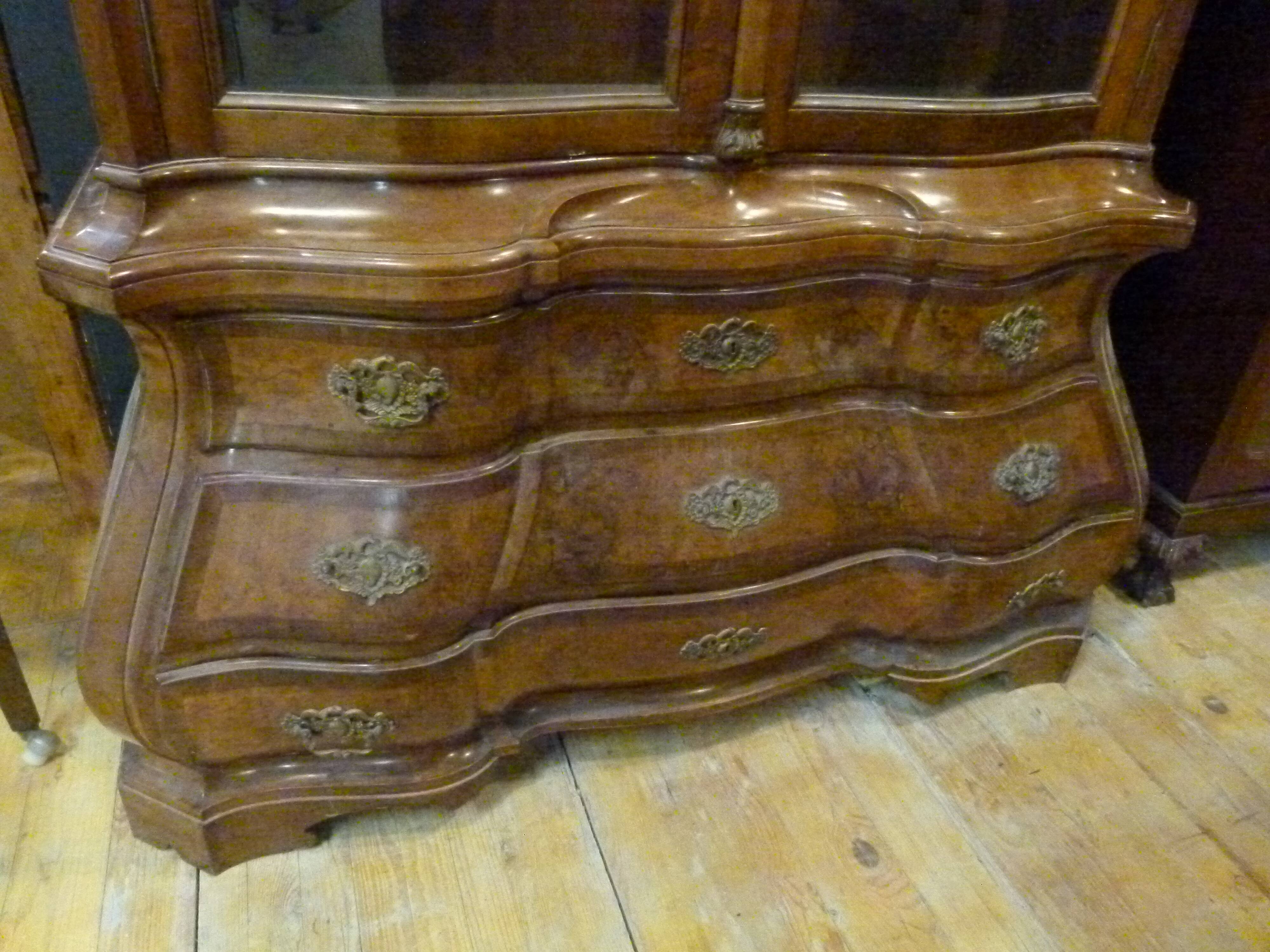 English mahogany showcase XXth