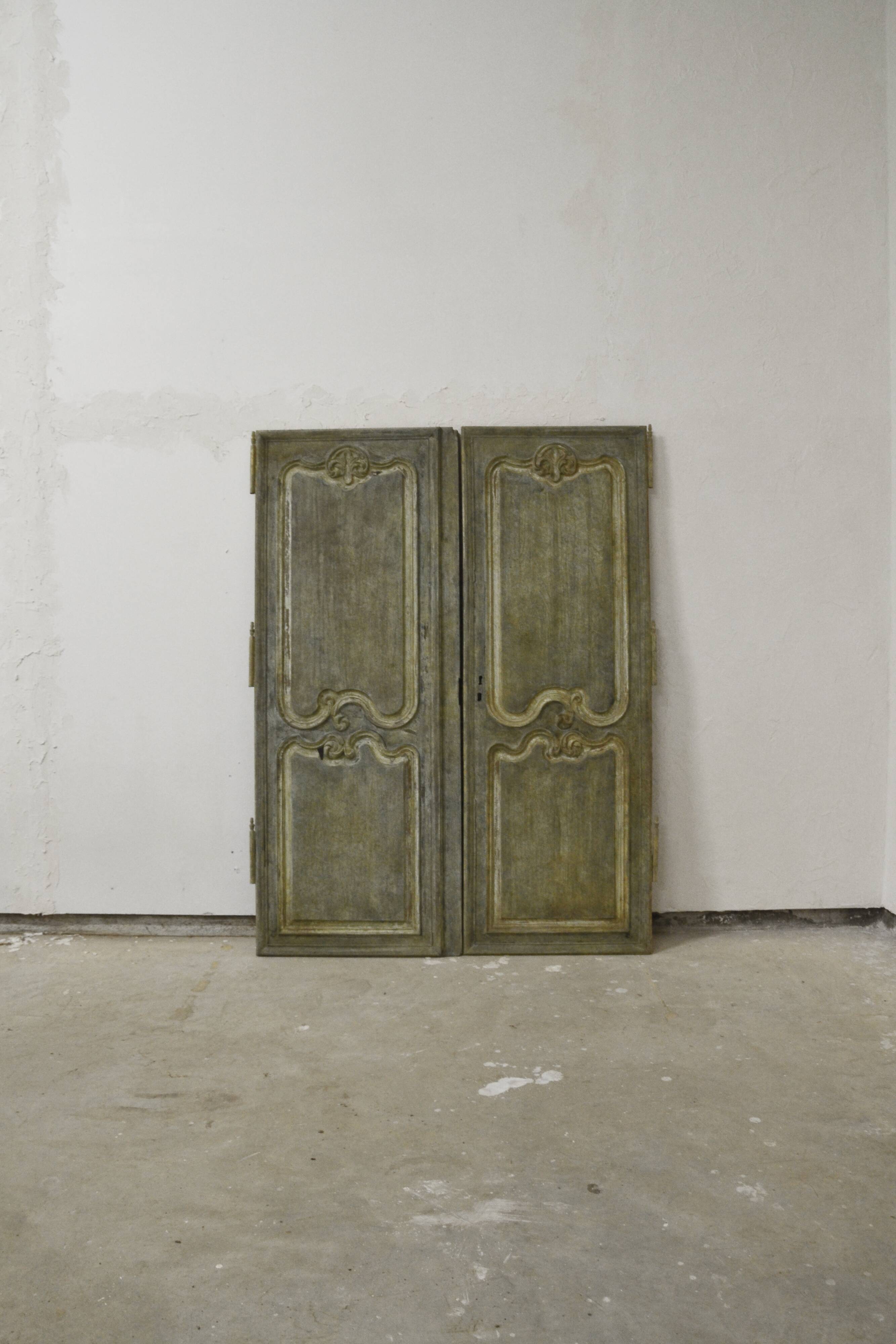 Pair of old doors