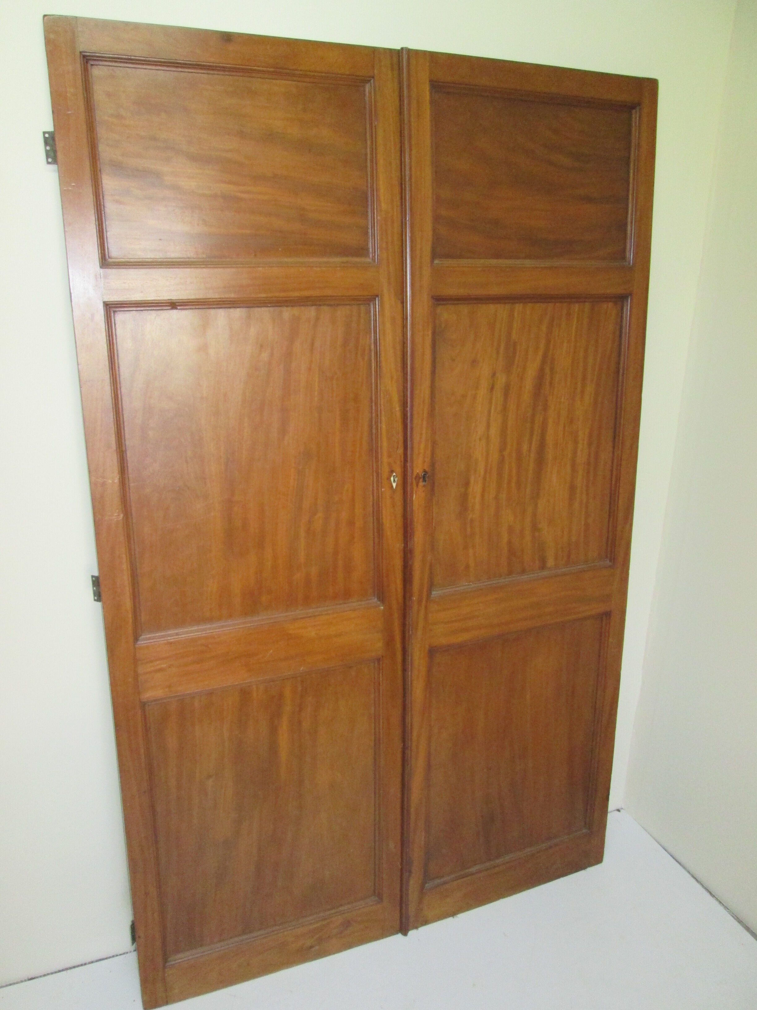 Pair of mahogany doors
