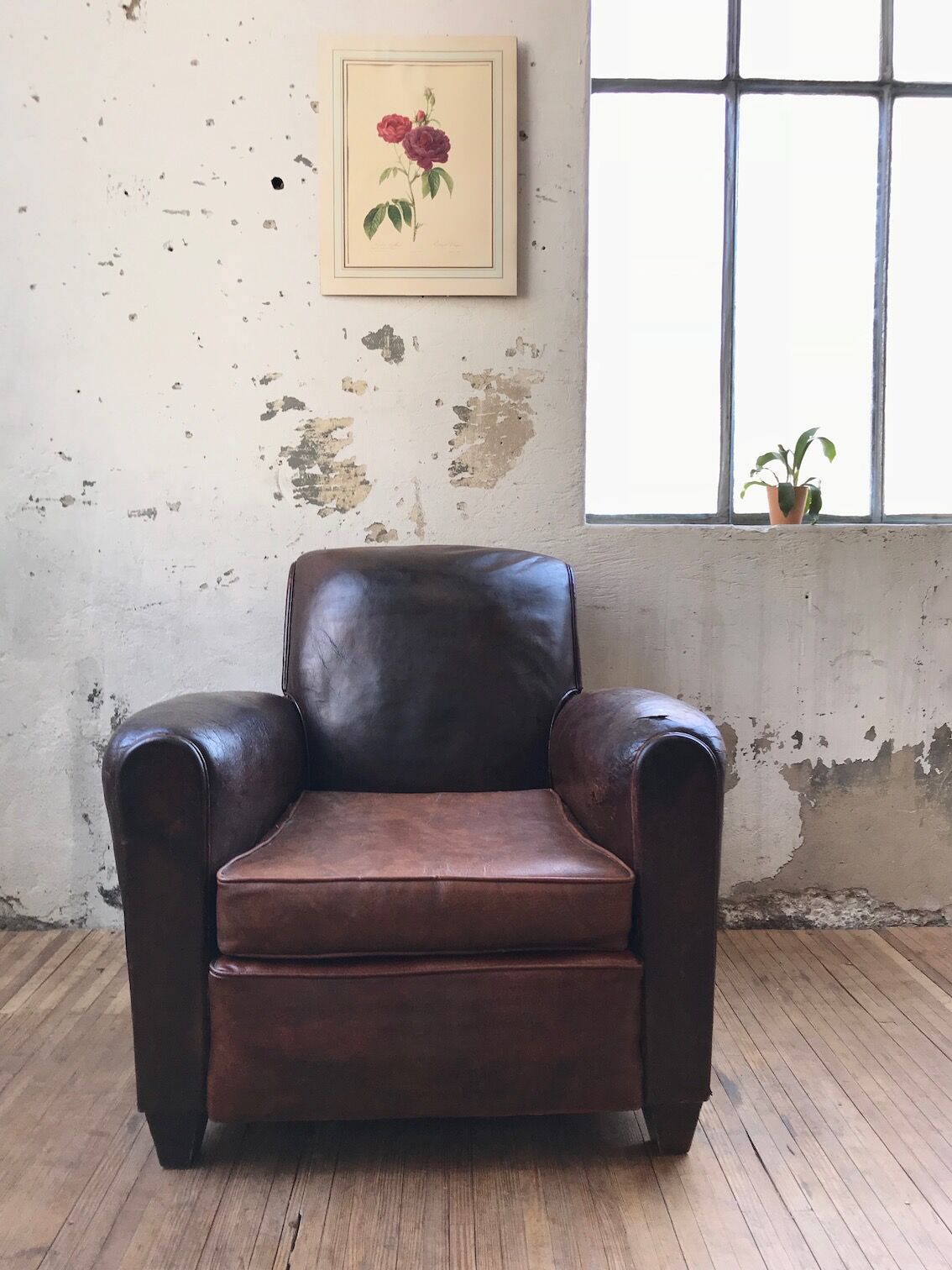 Leather club Armchair