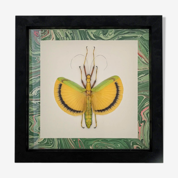 Insect stick insect in a contemporary to suspend setting