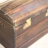 Large old curved trunk