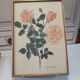 Gravure rose