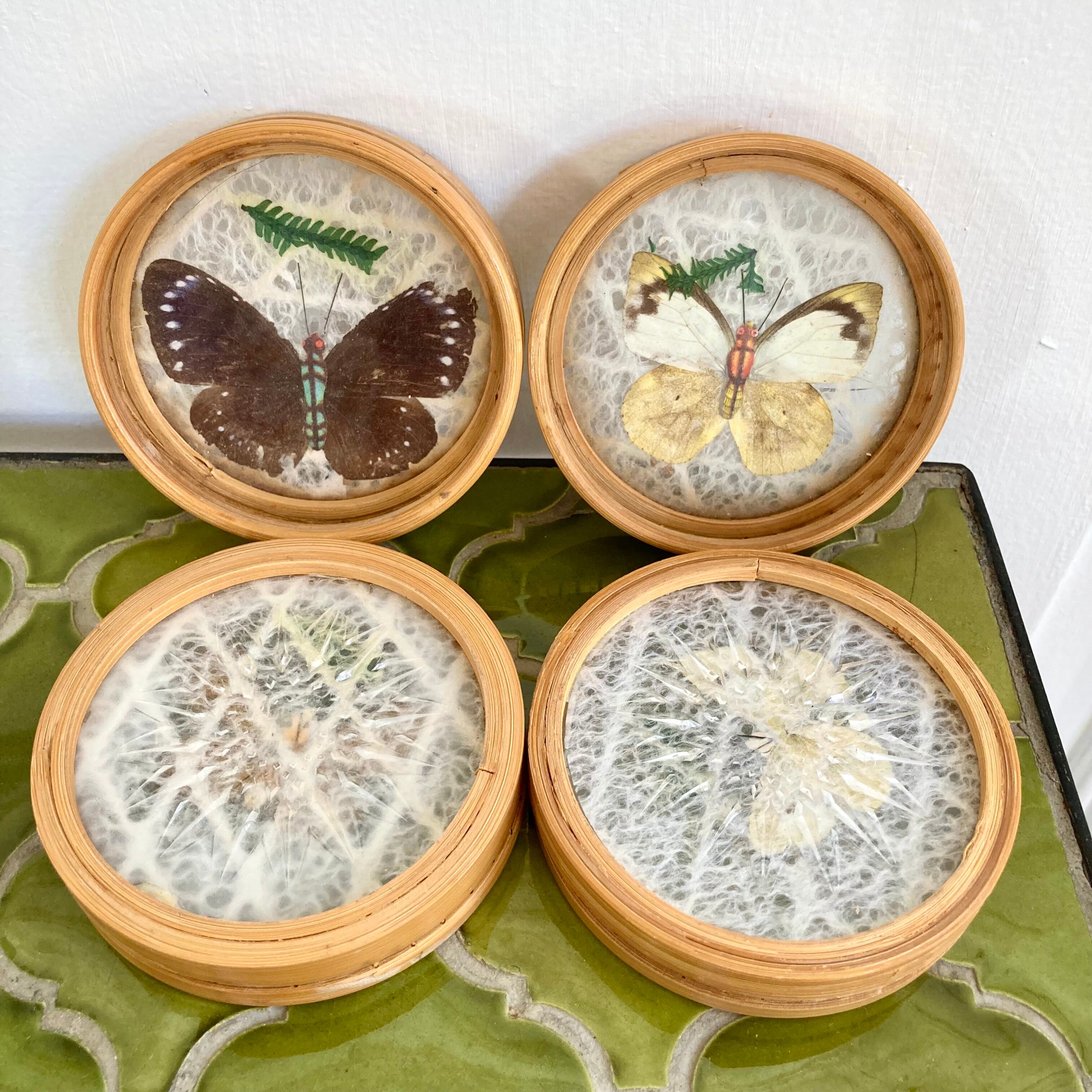 Bamboo butterfly tray and 6 vintage coasters