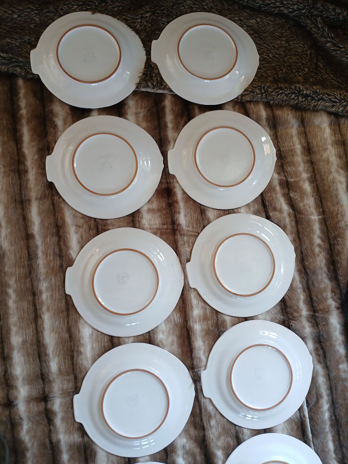 12 flat plates in earthenware/fish