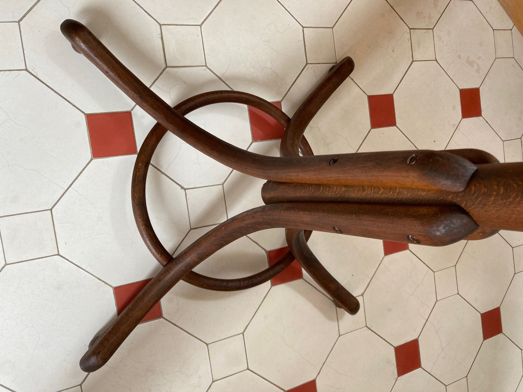 Old curved wood parrot coat rack