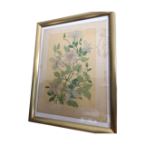 Botanical plate