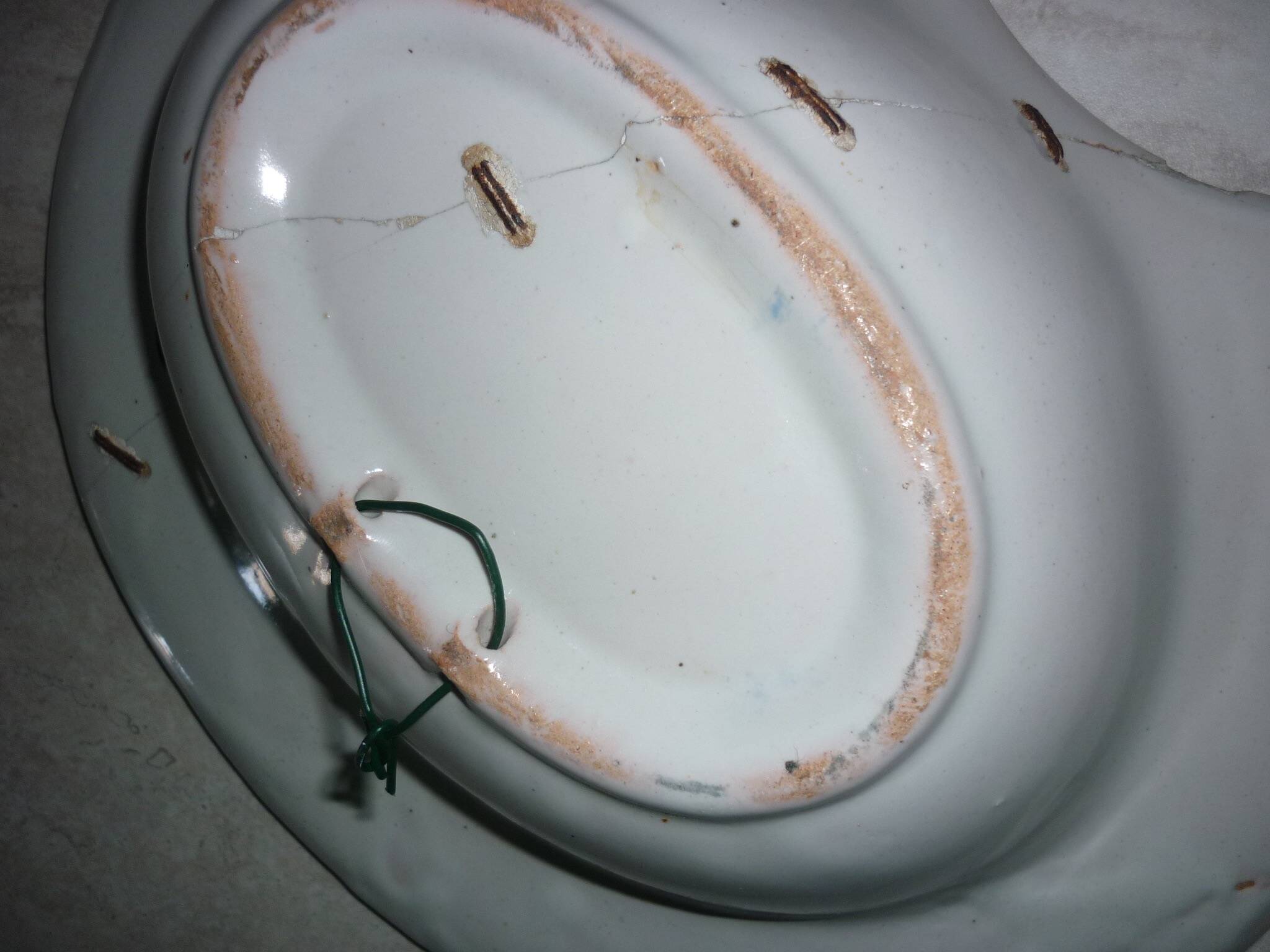 Old beard dish repair with staples