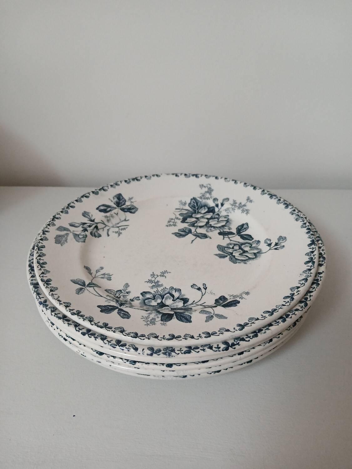 Set of 6 Terre de Fer plates, Acacia model
