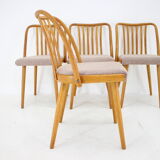 1970s Antonin Suman Set of 4 Oak Dining Chairs, Czechoslovakia