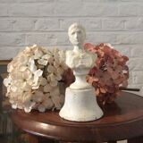 Ancient plaster bust