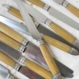 12 vintage Pradel stainless steel bakelite knives