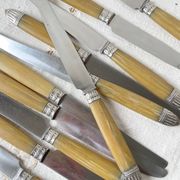 12 vintage Pradel stainless steel bakelite knives