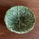 Green cabbage 🥬