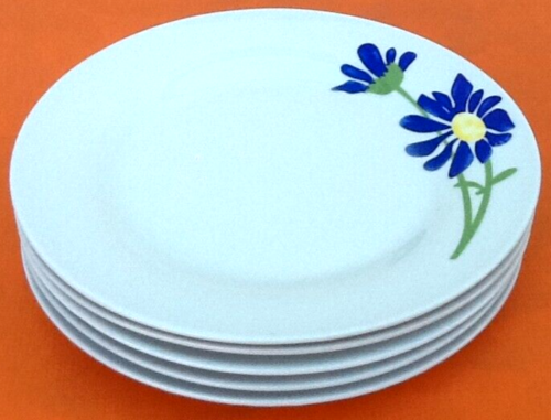 5 porcelain plates with floral decoration