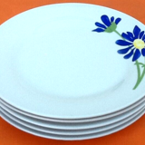 5 assiettes porcelaine à décor floral