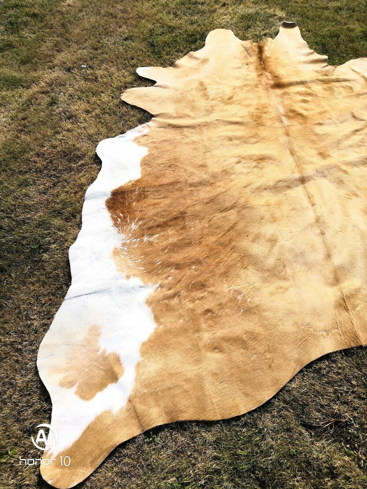 Tapis peau de vache